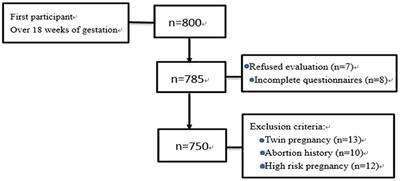 The mediating effect of resilience on pregnancy stress and prenatal anxiety in pregnant women